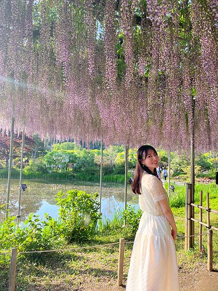 藤の花