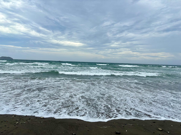 海