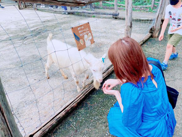 餌やり