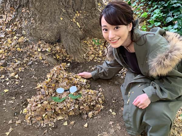 落ち葉