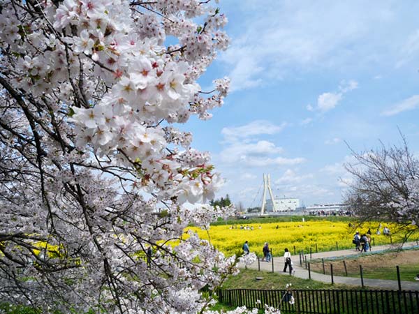 写真4