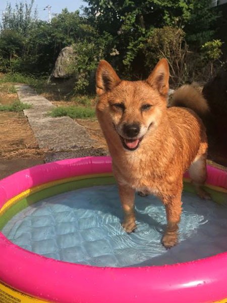水遊び