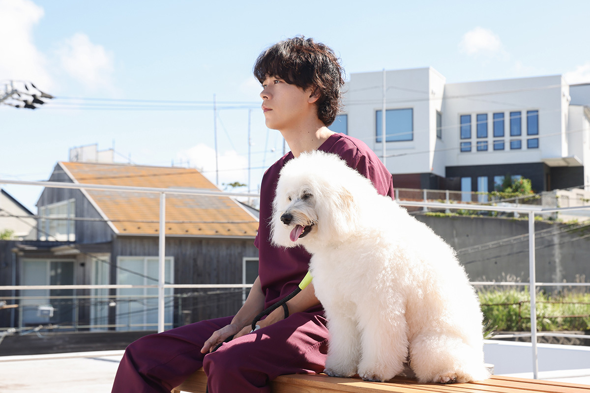 写真