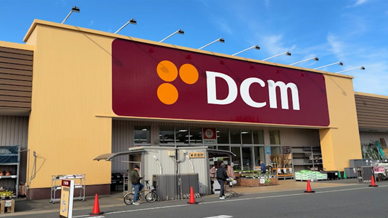 ◼️DCM