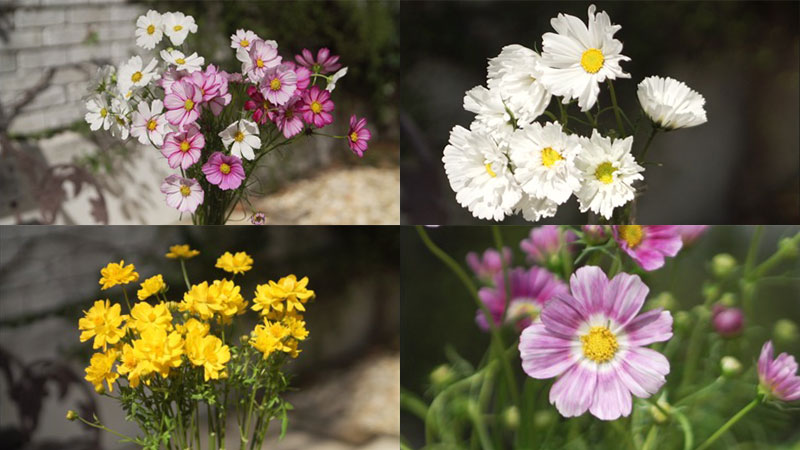 2020年10月20日