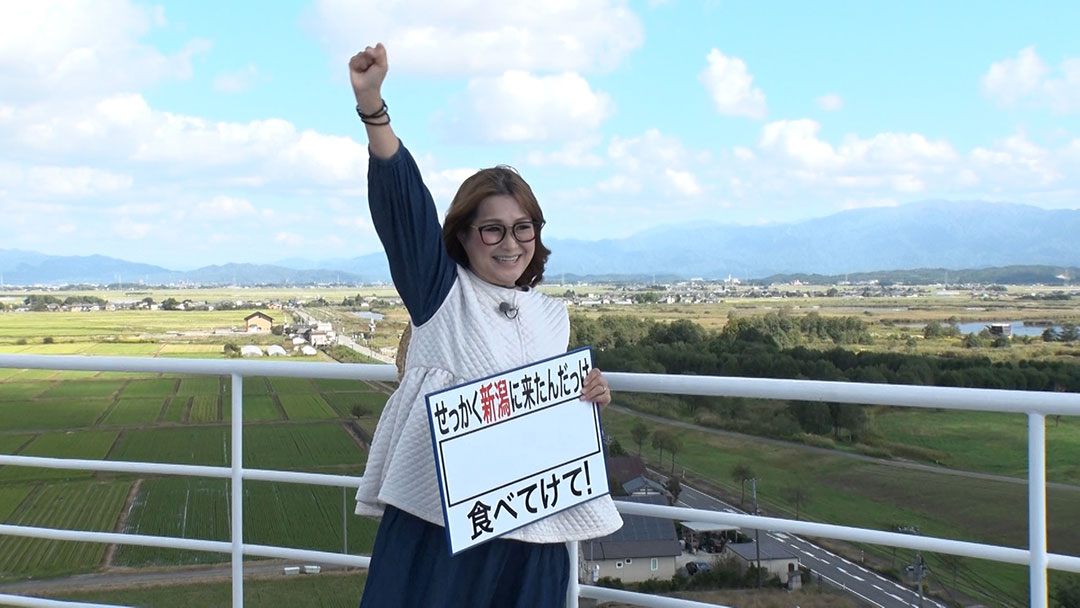 2023年11月5日