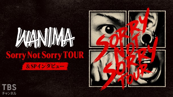WANIMA Sorry Not Sorry TOUR＆SPインタビュー